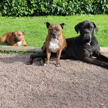 Maison A Palais Sur A Cote Du Vakantiehuis Saint-Palais-sur-Mer