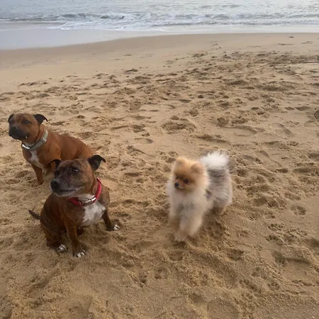 Maison A Palais Sur A Cote Du * Saint-Palais-sur-Mer